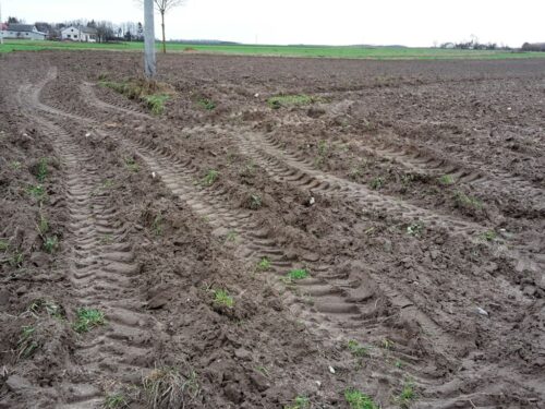 gaec7, gaec8, zmianowanie, ugory, odstępstwo, pzprz, producenci zbóż