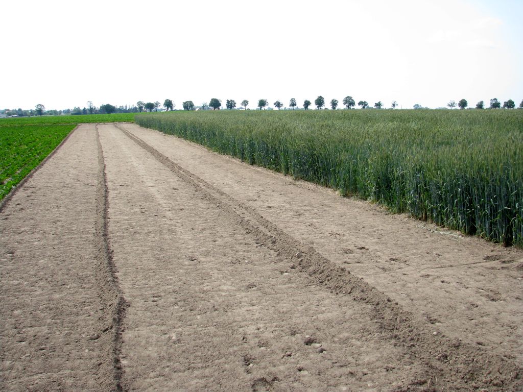 krir, samorząd rolniczy, izby rolnicze, przetarg, państwowa ziemia, kowr, czynsz dzierżawny
