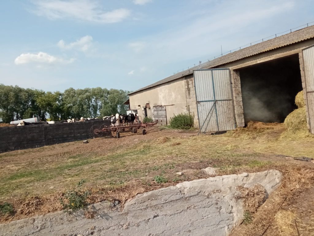kp psp gniezno, pożar, siano, stodoła, obora