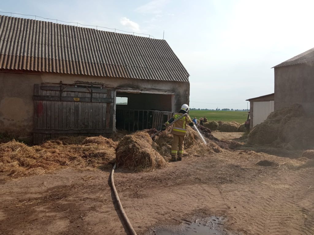 kp psp gniezno, pożar, siano, stodoła, obora
