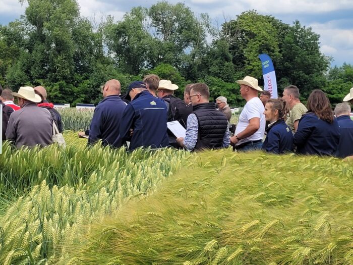 Saaten Union, DSV, Rapool, warsztaty polowe, Spytkówki