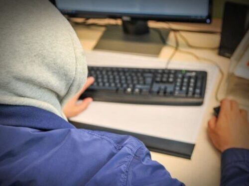 kpp przasnysz, zakupy, internet, środki ochrony roślin, oszustwo