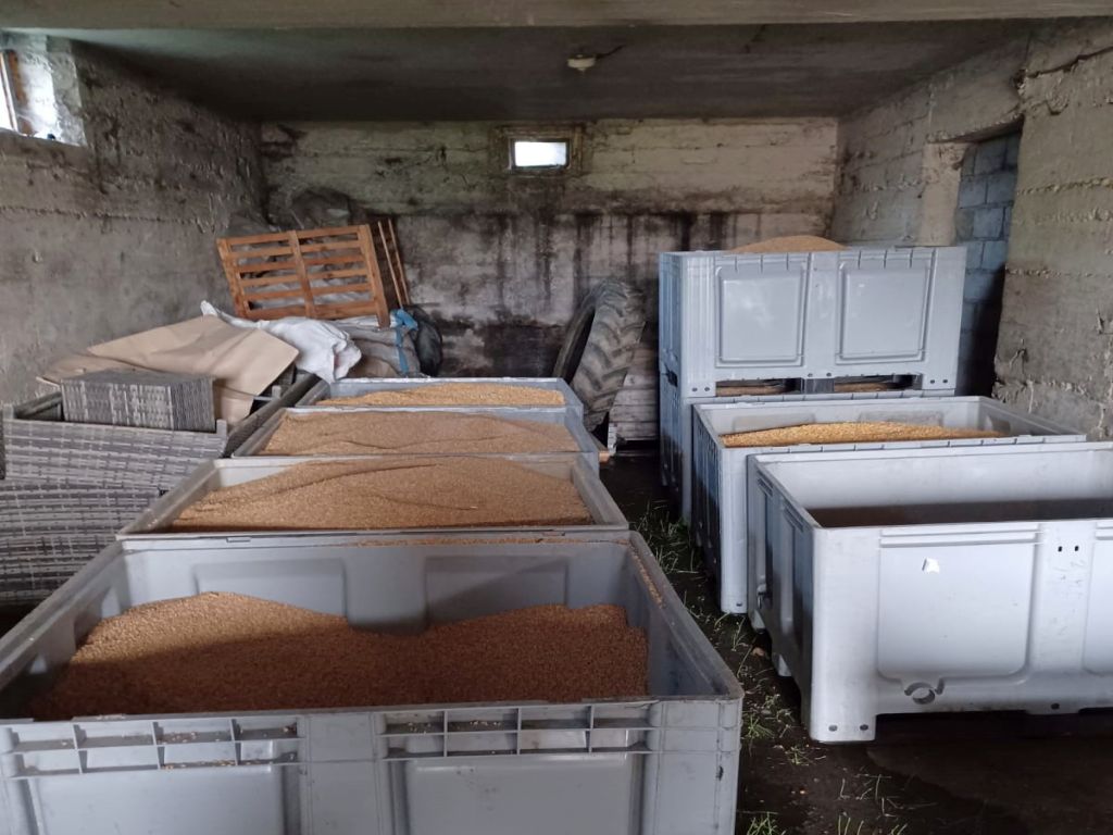 prokuratura, rzeszów, kas, przeszukania, zboże, import, ukraina