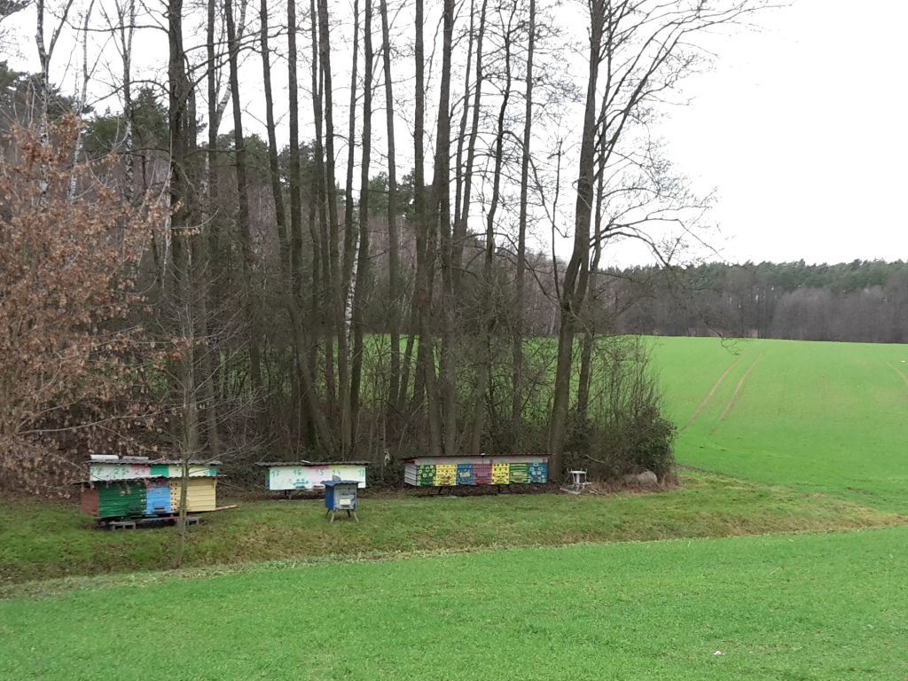 pomoc, pszczoły, rodziny pszczele, projekt, rozporządzenie, wsparcie