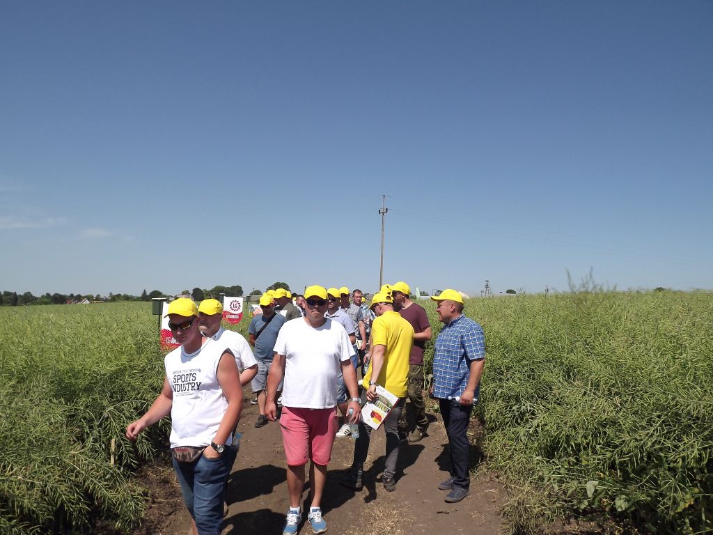 Wiszniów, TeamAgro Kuczyńska, Krajowe Zrzeszenie Producentów Rzepaku i Roślin Białkowych