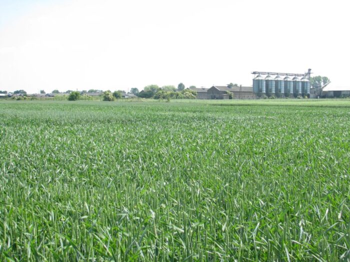 ziemia rolna, obrót, sprzedaż, mswia, niemczyk, romanowski, ministerstwo