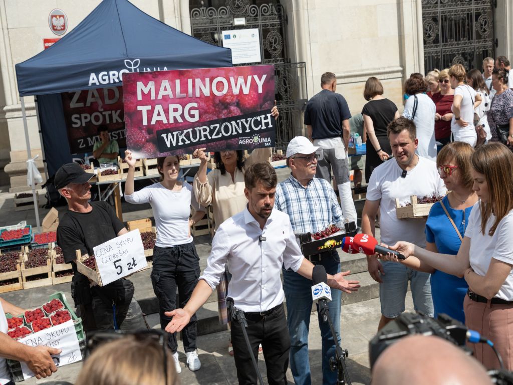 agrounia, targ, mrirw, resort, owoce, czereśnie, skup, markety