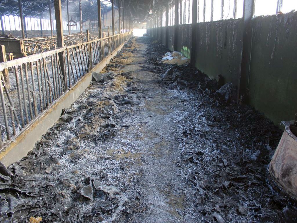 kp psp mońki, podlasie, pożar, chlewnia