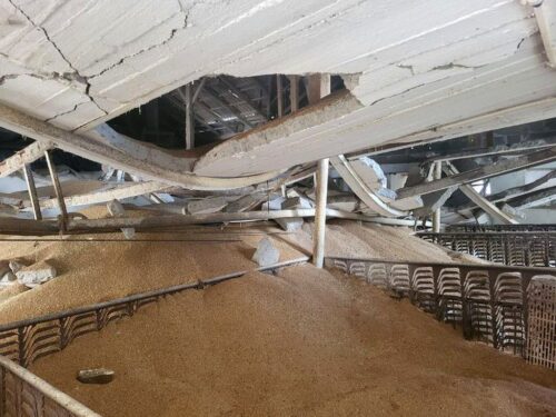 zawalenie stropu, chlewnia, zboże, ciężar, świnie, trzoda, kp psp sieradz