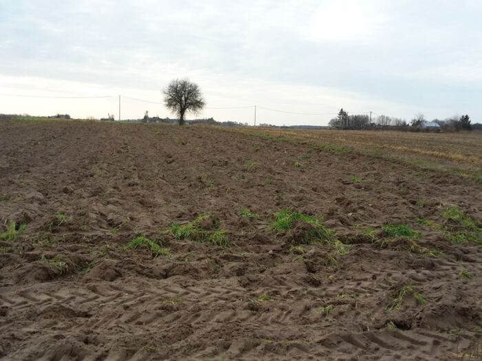 eto, europejski trybunał obrachunkowy, kontrola, gleby, gospodarowanie, obornik