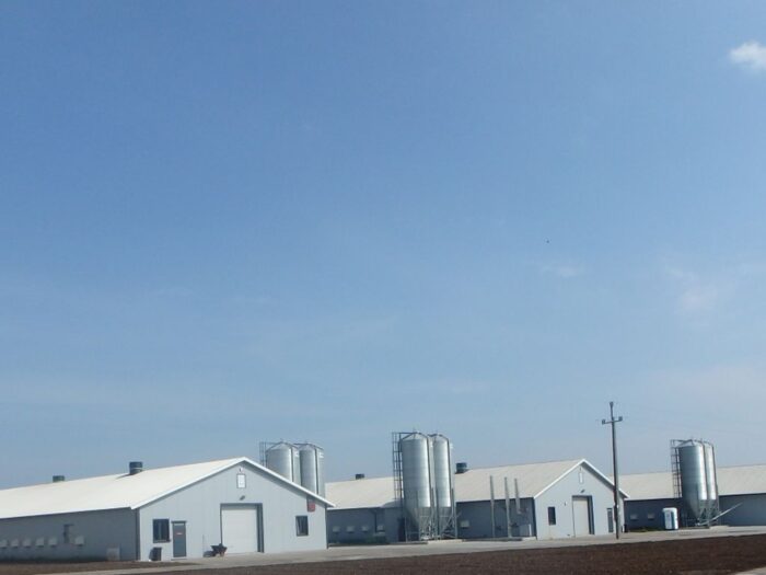 sejm, komisja rolnictwa, inwestycja, ferma, kurniki, drób