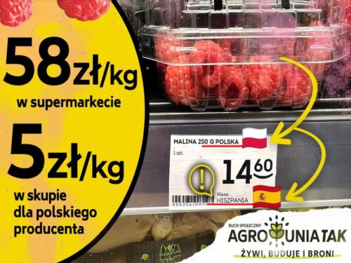 zs rp, związek sadowników, sadownicy, agrounia, śliwki, maliny, ceny