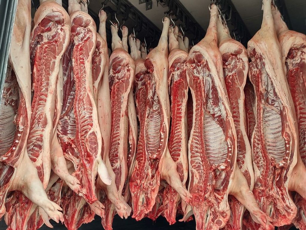 branża mięsna, mięso, upemi, żywiec