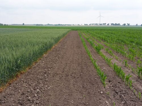 minister, telus, ue, bruksela, ukraina