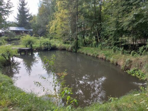 moskwa, minister, moja woda, retencja