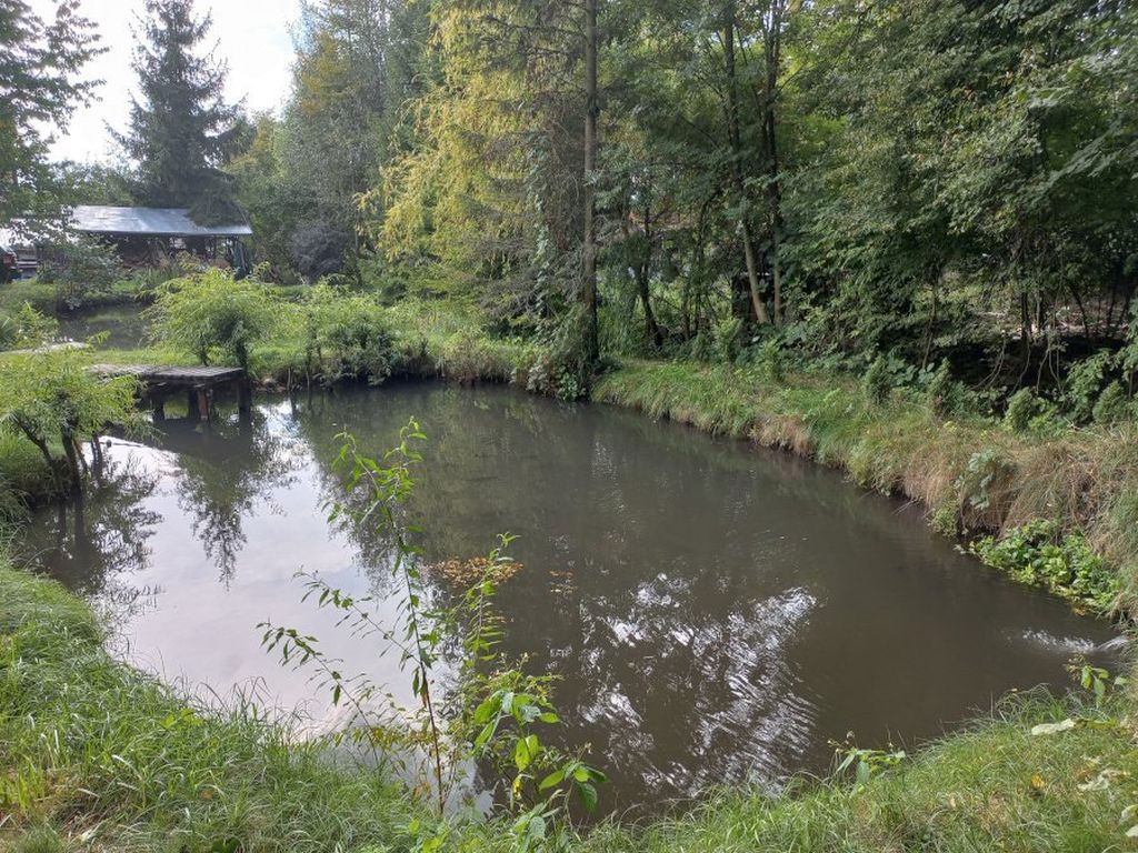 moskwa, minister, moja woda, retencja