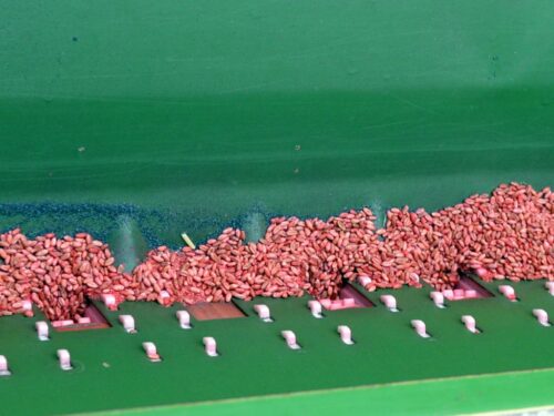 komisja europejska, ke, program, dopłaty, nasiona, materiał siewny