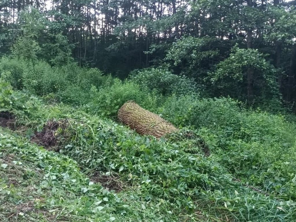 psp tarnów, wypadek, prace leśne, drewno, wywrócony ciągnik, śmierć traktorzysty