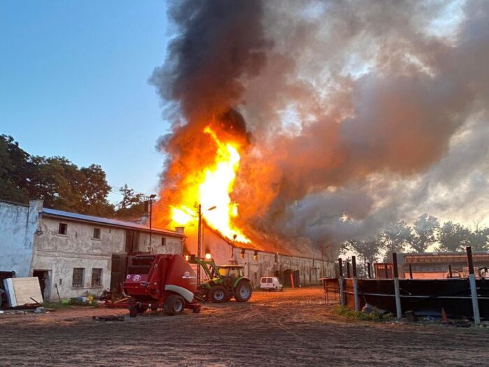 stajnia, konie, źrebięta, psy, ewakuacja, pożar