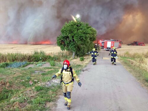 kp psp września, pożar, zboże, ciągniki, akcja gaśnicza
