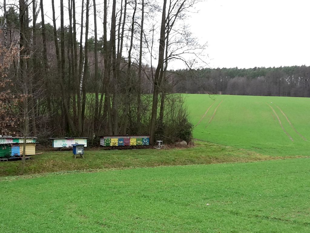 arimr, agencja, dopłaty, dofinansowanie, przezimowanie, pszczoły, rodziny pszczele