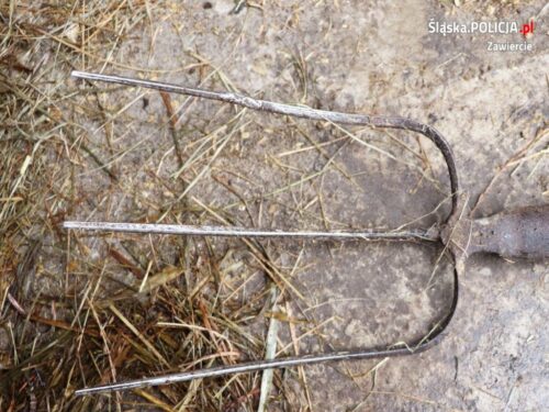 kpp nowy dwór gdański, kpp zawiercie, pies, psy, znęcanie się, akt oskarżenia