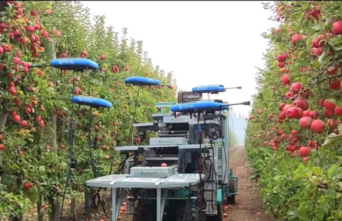 izrael, zbiory, roboty, robotyka, drony, rolnictwo