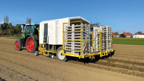 sadzarka, Ropa Gecko