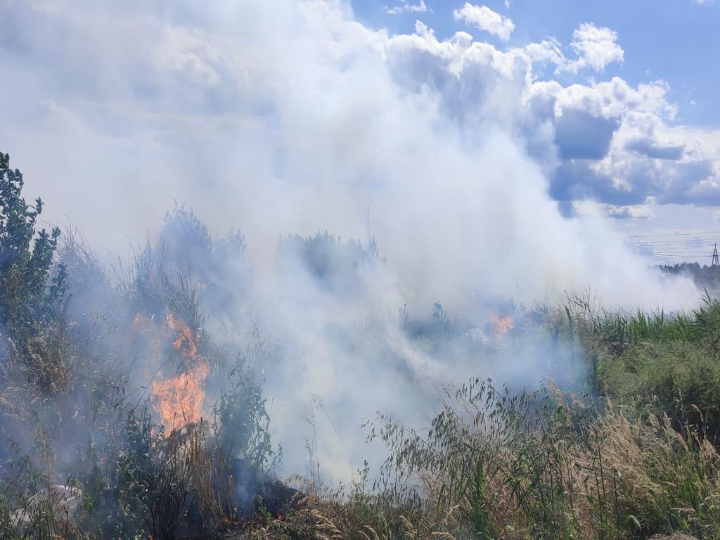 kp psp tomaszów lubelski, pożar, słoma, wyrtwórnia, pelet