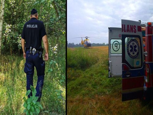 kpp tomaszów lubelski, wypadek, wycinka drzew, pilarz, konar, uderzenie