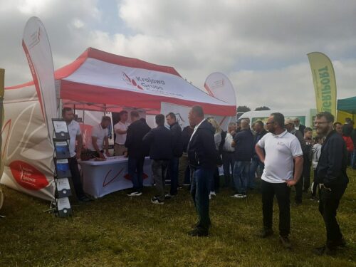 Zagroda, Cukrownia Krasnystaw, Dzień Pola