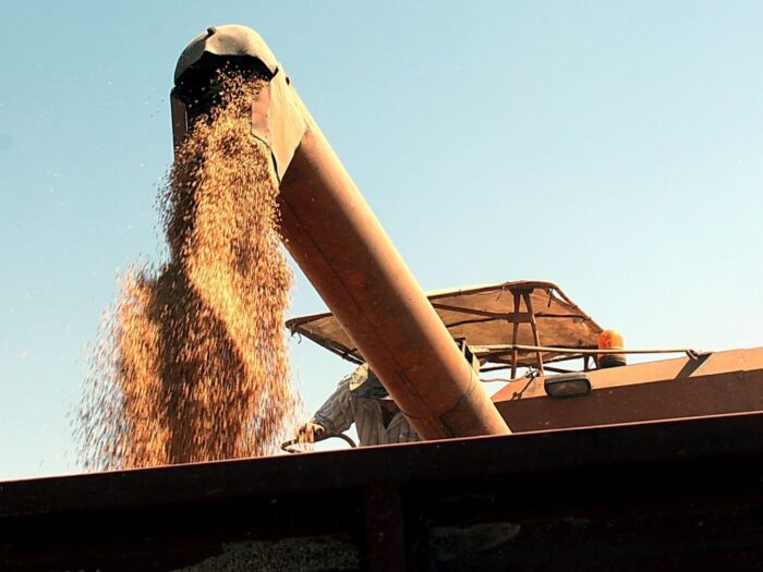 zboże, ceny zbóż, skup zbóż, ceny skupu