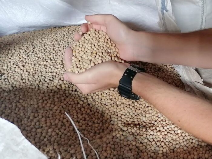 zboże, eksport, umowa zbożowa, rosja, ukraina, turcja