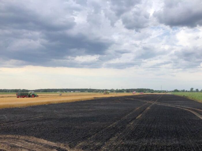 kw psp kielce, pożar, zboże, śmierć, traktorzysty