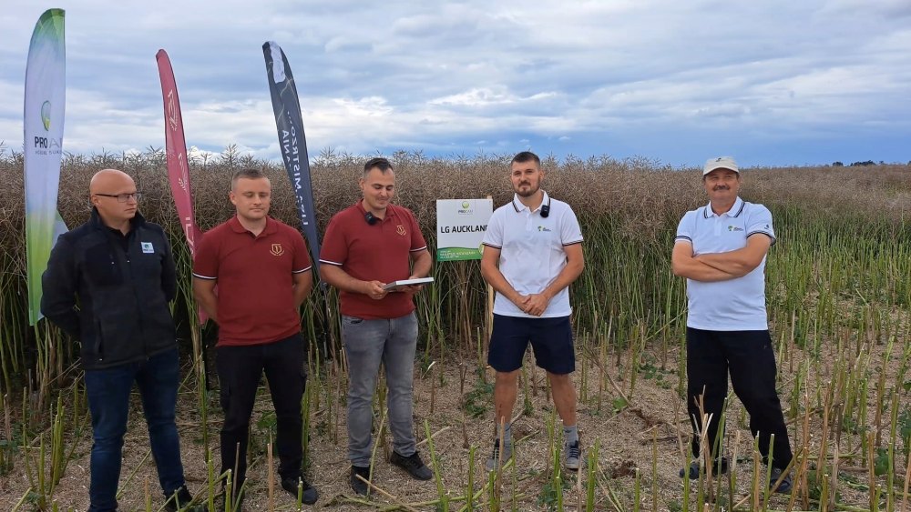 rzepak, zbiór rzepaku, Liga Mistrzów plonowania, rekord