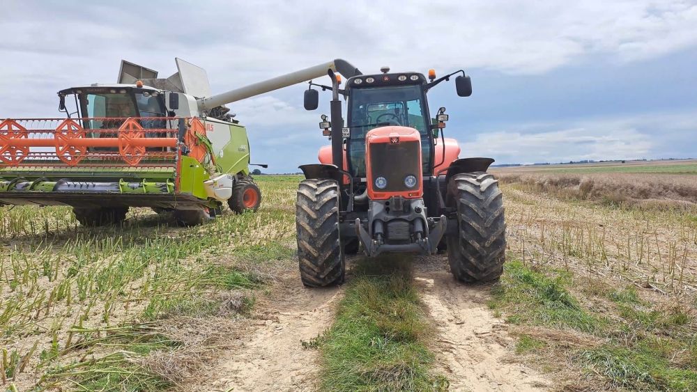 rzepak, zbiór rzepaku, Liga Mistrzów plonowania, rekord