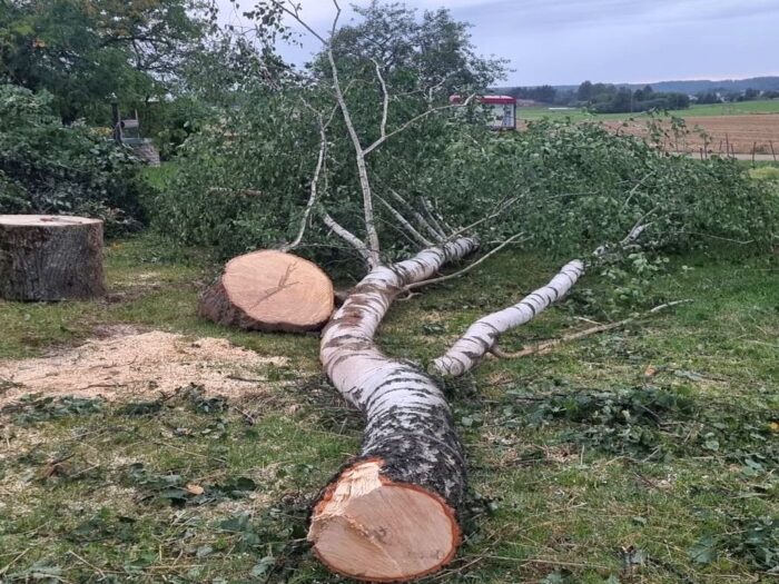 kpp augustów, ciągnik, holowanie, nietrzeźwy traktorzysta, drzewo, wycinka, hydrant