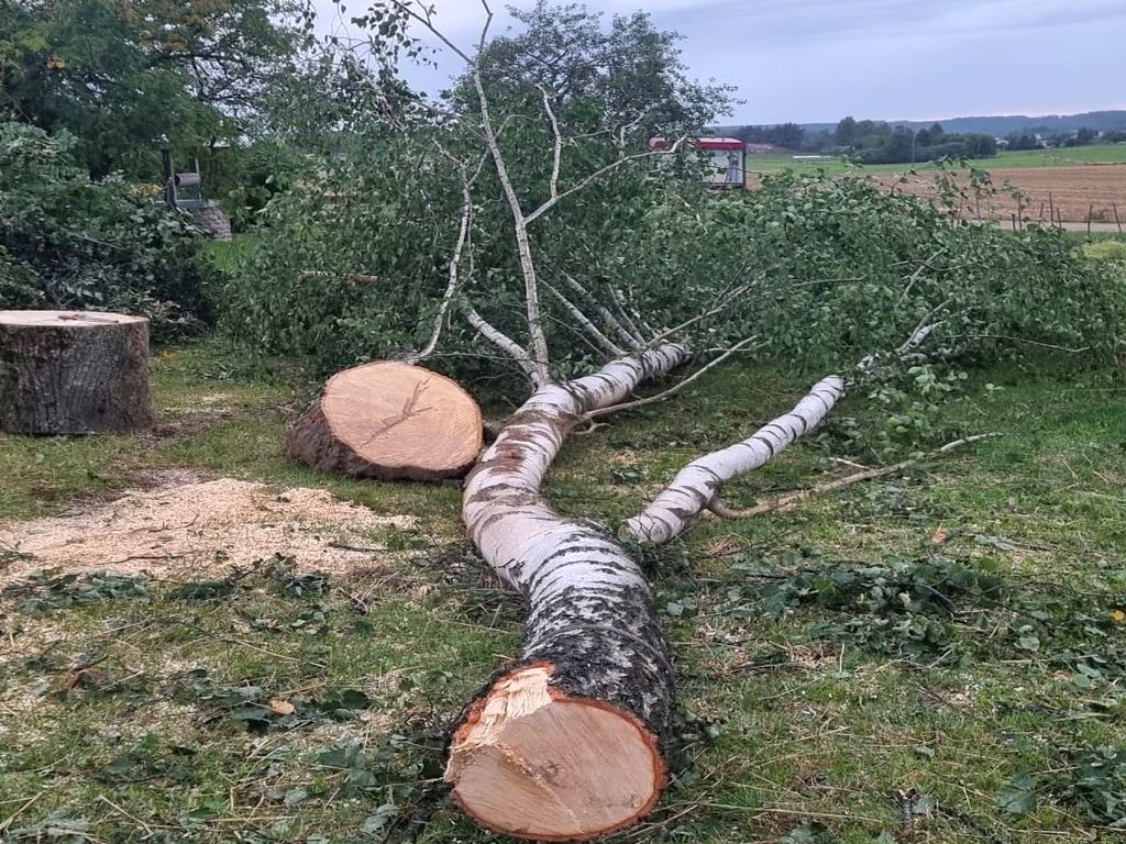 kpp augustów, ciągnik, holowanie, nietrzeźwy traktorzysta, drzewo, wycinka, hydrant