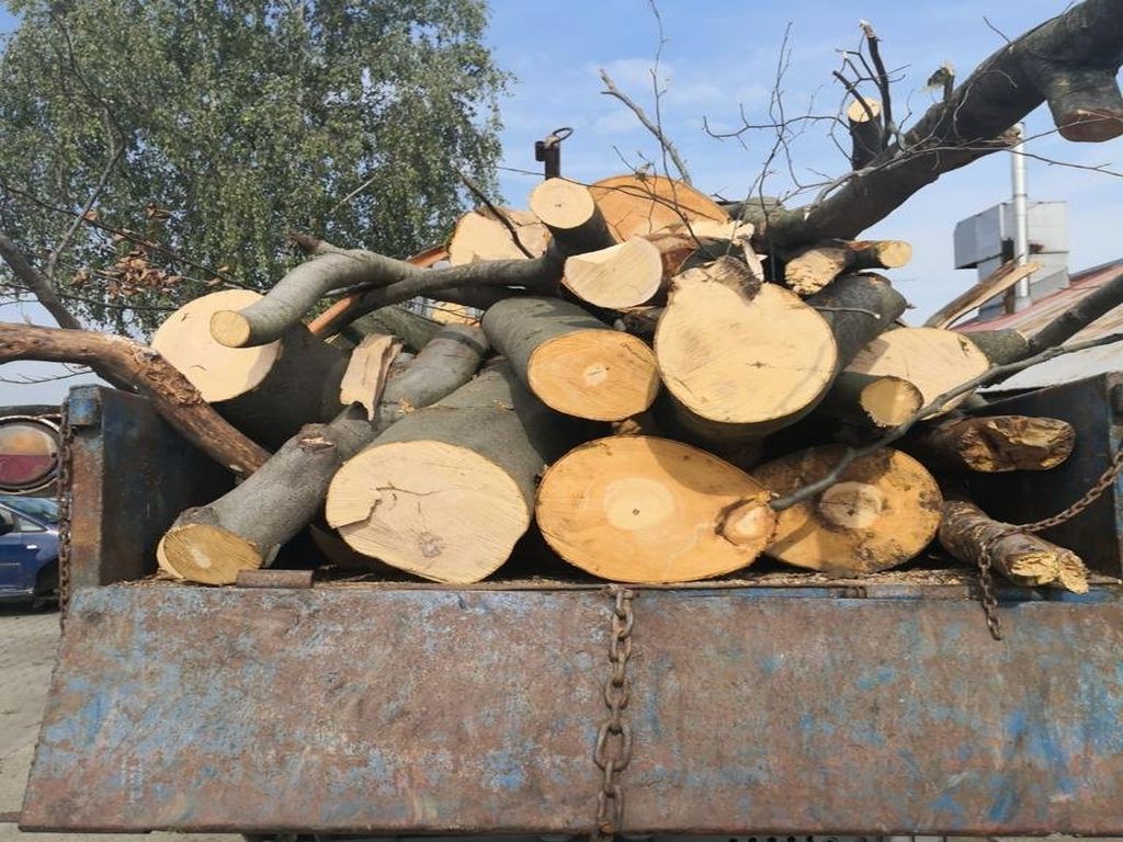 kpp cieszyn, kp wisła, traktorzysta, zakaz prowadzenia pojazdów, drewno, kradzież, zarzuty