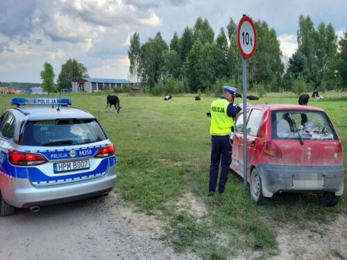 kpp bielsk podlaski, dziecko, auto, pościg, zatrzymanie, pastwisko, sąd rodzinny