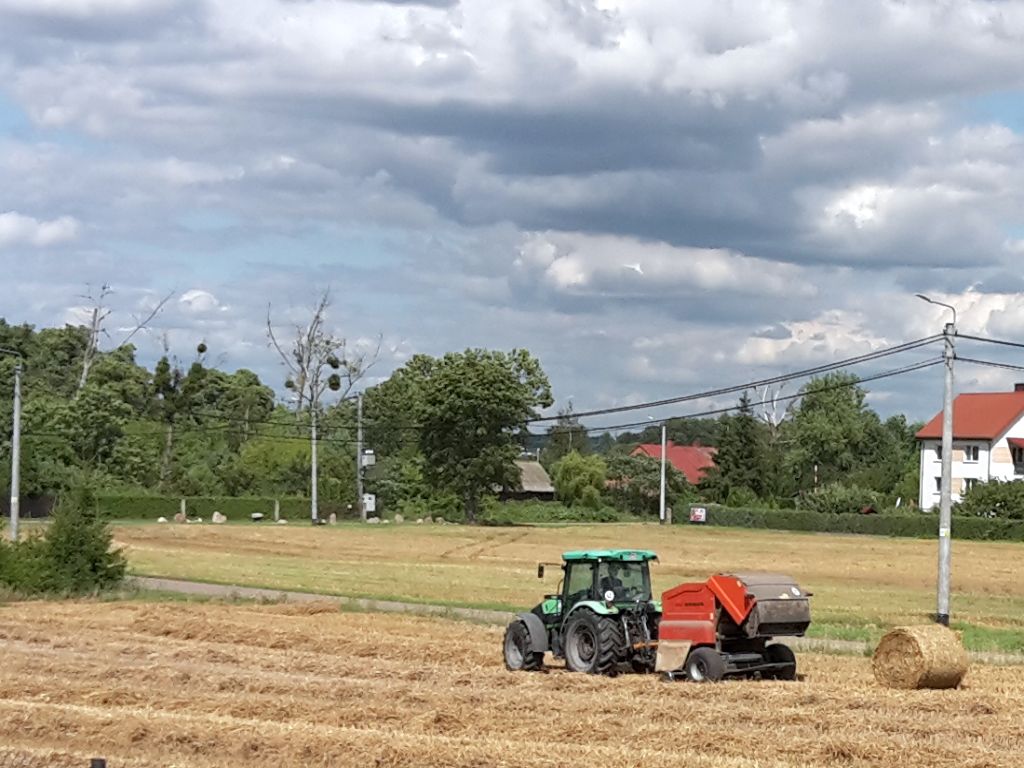 wir, wielkopolska izba rolnicza, stanowisko, zboże, rzepak, ukraina, import, zakaz, ue