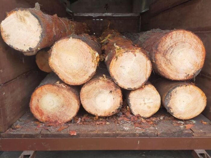 projekt, rozporządzenie, drewno energetyczne, drewno