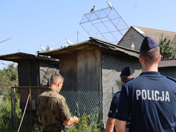 air show, samoloty, gołębie, hodowcy, kwp radom, wojsko