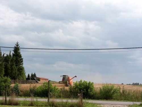 gus, badanie, mały spis rolny, gospodarstwa, ankieterzy