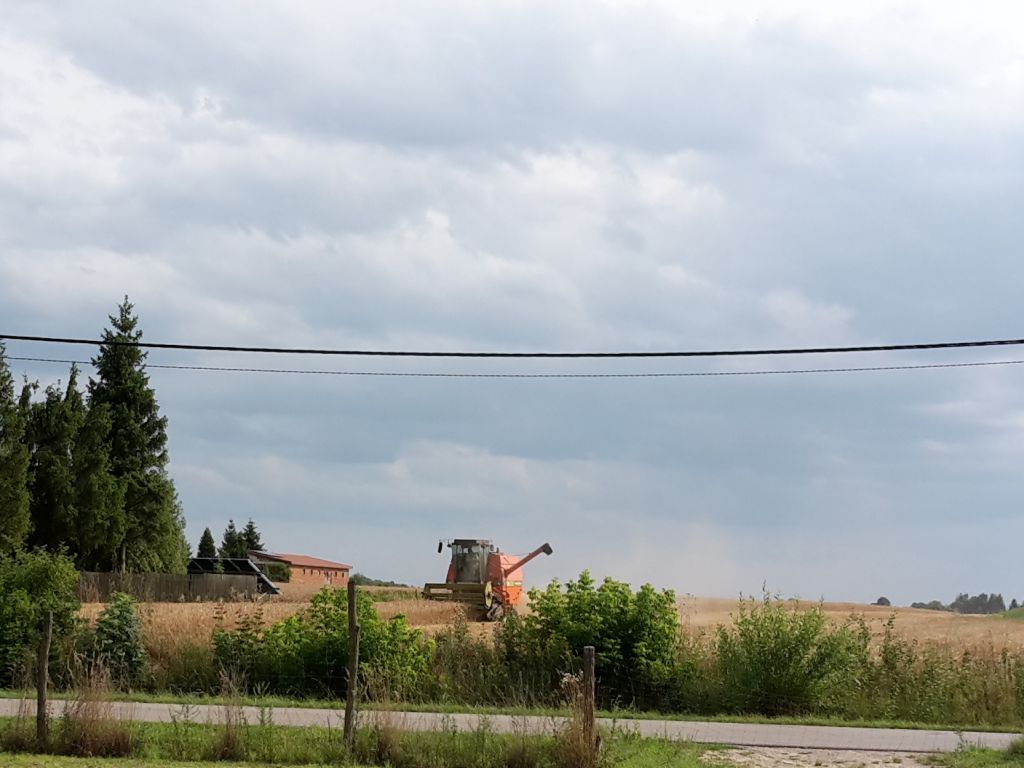 gus, badanie, mały spis rolny, gospodarstwa, ankieterzy