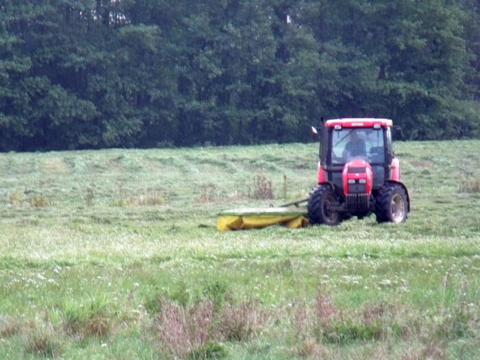 nawłoć, ziemie porolne, ziemie porzucone, koszenie, pan, bioróżnorodność, przyroda