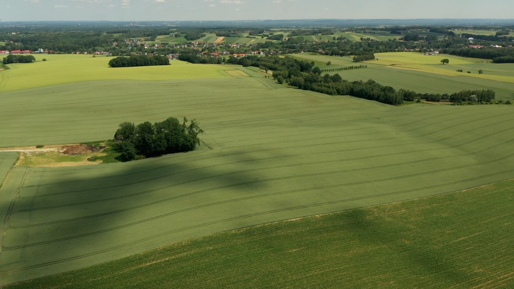 KOWR, dzierżawa