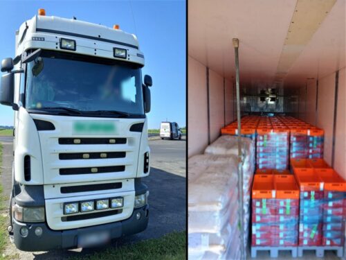 itd, witd poznań, kontrola, waga, ważenie pojazdu, transport, kurczaki, mięso drobiowe