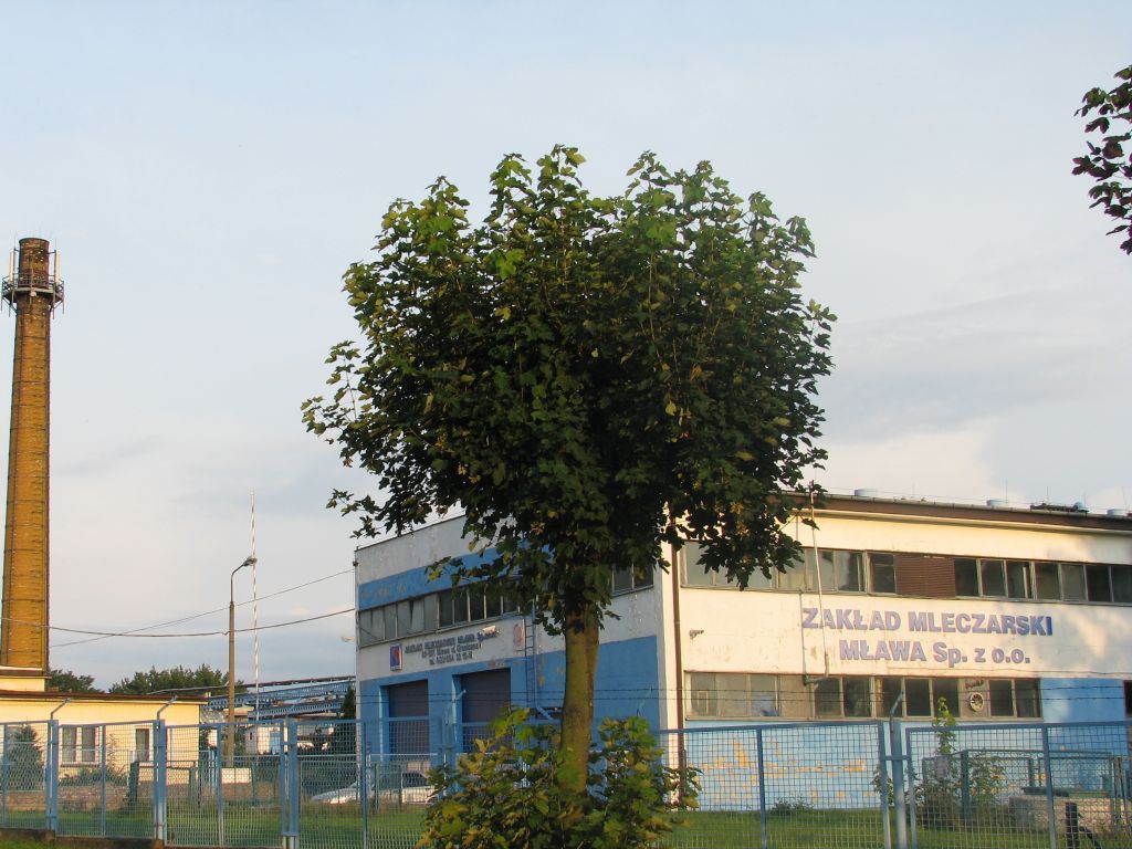 minister, telus, mleczarnie, zakłady mleczarskie, energochłonność, aplikacja suszowa, szacowanie, ubezpieczenia