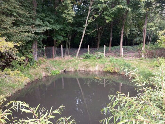 moja woda, dotacje, gromadzenie wody, retencja, deszczówka, susza, minister, moskwa